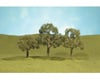 Image 1 for Bachmann Scenescapes Walnut Trees (3) (2.5-3.5")