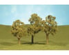 Image 1 for Bachmann Scenescapes Elm Trees (3) (3-4")