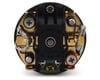 Image 2 for Team Brood Doomsday TS2 Handwound 3 Segment Dual Magnet 540 Crawling Motor (45T)