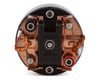 Image 2 for Team Brood Devastator Handwound 550 3 Segment Dual Magnet Brushed Motor (25T)