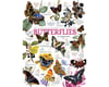 Image 1 for Cobble Hill Puzzles 1000Puz Butterfly Collection