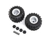 Image 2 for Losi Mounted Monster Truck Tires, Left/Right: LMT