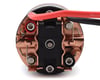 Image 2 for Ruddog 5-Slot Brushed Crawler Motor (20T)