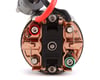 Image 2 for Spektrum RC Firma 3-Pole 540 Crawling Motor (80T)