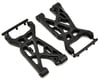 Image 1 for Team Losi Racing Front Suspension Arm Set