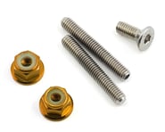 175RC Titanium Lower Arm Stud Kit (Gold) | product-also-purchased