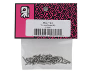 175RC TLR Mini-T 2.0 "Ti-Look" Screw Kit | product-also-purchased