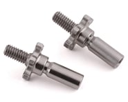 175RC DR10 Narrow Titanium Front Axles (2) | product-related