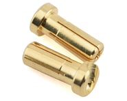1UP Racing 5mm LowPro Bullet Plugs (2) | product-related