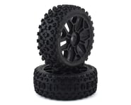 Arrma 2HO Pre-Mounted Tires (2) | product-related