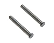 Axial Hinge Pin (2.5x19mm) | product-related
