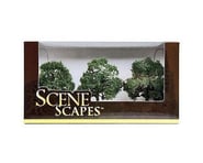 Bachmann Scenescapes Oak Trees (3) ( 3-3.5") | product-related