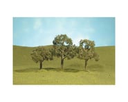Bachmann Scenescapes Walnut Trees (4) (2-2.25") | product-related