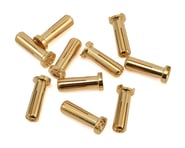 LRP 5mm Gold Works Team Bullet Connectors (10) | product-related