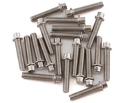 RC4WD Miniature Scale Hex Bolts (M2.5 X 12mm), Silver | product-also-purchased