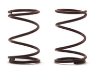 RJ Speed Legends Front Springs (2) | product-also-purchased
