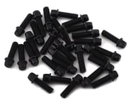 SSD RC 2.5x8mm Scale Wheel Bolts (Black) (30) | product-related