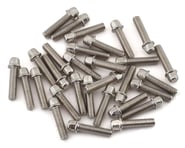 SSD RC 2.5x10mm Scale Wheel Bolts (Silver) (30) | product-related