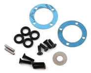 Team Losi Racing 22X-4 Differential Seal & Hardware Set | product-also-purchased