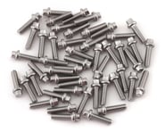 Vanquish Products Scale Beadlock Ring Screw Kit (Stainless) (50) | product-related