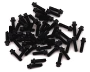 Vanquish Products Scale Beadlock Ring Screw Kit (Black) (50) | product-also-purchased