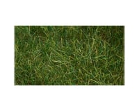 Bachmann 6mm Pull-Apart Static Grass (Dark Green) (11" x 5.5")