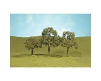 Bachmann Scenescapes Walnut Trees (4) (2-2.25")