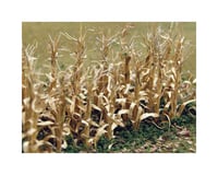 Bachmann Dried Corn Stalks (30/Pk)