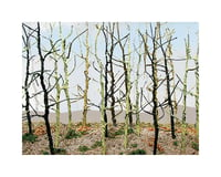 Bachmann Wood'S Edge Trees - Bare (14/Pk)