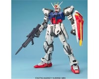 Bandai 1/60 Snap Strike Gundam Perfect Grade