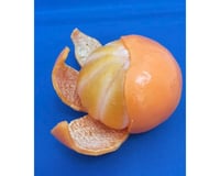 Bc Usa Kawaii Squishies Miniature Mandarin Orange Toy