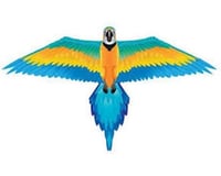 Brain Storm Products WindnSun 70702 Rainforest Macaw Nylon Kite-61 Inches Wide