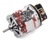 Team Brood Specter Hand Wound 540 3 Segment Dual Magnet Brushed Motor (35T)