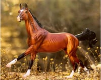 Breyer Horses Adamek - New