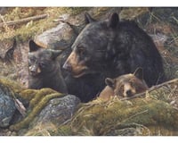 Cobble Hill Puzzles Cobble Hill 80012 Twice the Love 1000 Piece Bears Jigsaw Puzzle