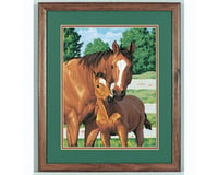 Dimensions Mothers Pride (Horse w/Foal) Paint by Number (11"x