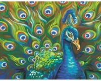Dimensions Wild Feathers (Peacock) Paint by Number (14"x11")