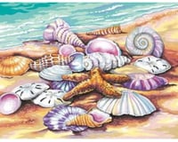 Dimensions Shells (Seashore) Paint by Number (11"x14")