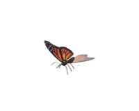 Fascinations Metal Earth Model Butterfly Monarch (Fascinations mms123)