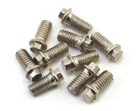 Hot Racing 3x6mm Miniature Scale Hex Bolts (10)