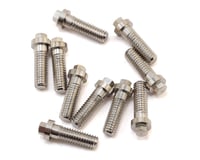 Hot Racing M3x10mm Miniature Scale Hex Bolts