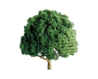 JTT Scenery Professional Tree, Oak 3" (2)