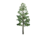 JTT Scenery Professional Tree, Pine 4" (2)