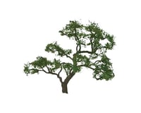 JTT Scenery Professional Tree, Beech 2" (3)