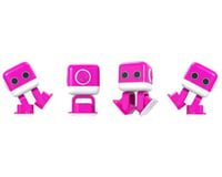 LiteHawk Dj-Bot Robot, Raspberry