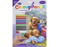 Royal Brush Manufacturing Pencil By Number Wash Day Fun 9x12