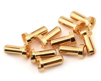 Ruddog 4mm Gold Male Bullet Plug (10) (12mm Long)
