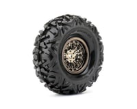 Roapex R/C Booster 1/10 Crawler Tires Mounted on Chrome Black 1.9"