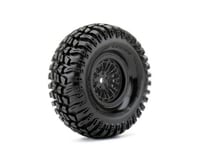 Roapex R/C Cross 1/10 Crawler Tires Mounted on Black 1.9" Wheels,
