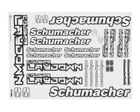 Schumacher Cougar Laydown Decal Sheet